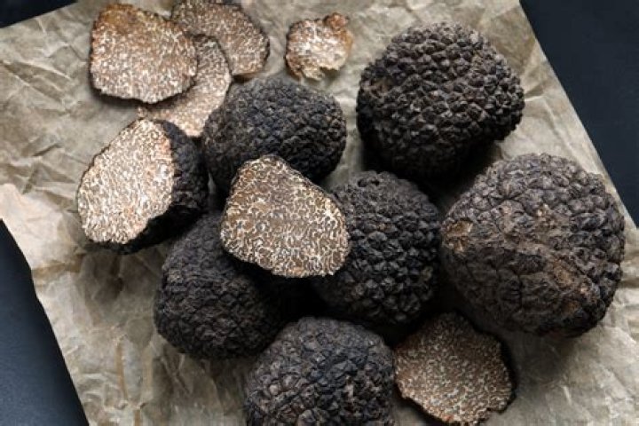 Do truffles grow in Iowa
