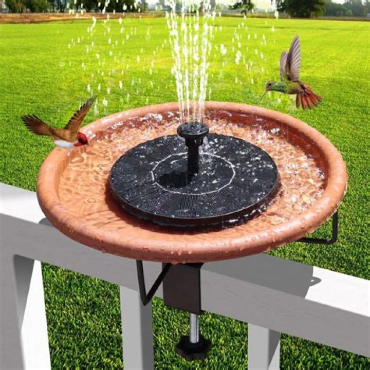 Do water fountains attract birds