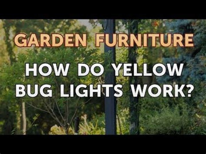 Do yellow bug lights work