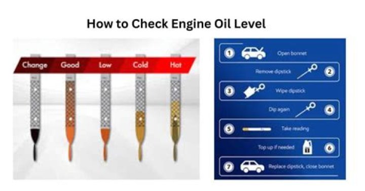 Do you check the oil in your car when its running