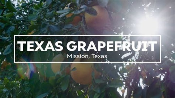Does grapefruit grow in Texas