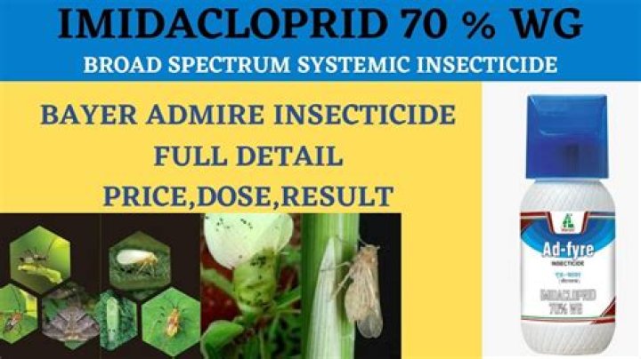 Does imidacloprid kill fleas