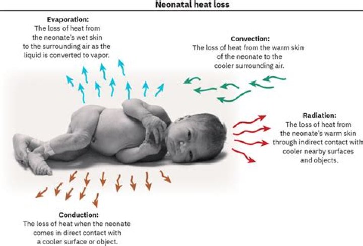 Does metal lose heat quickly