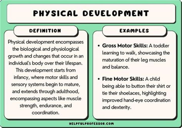 Does physical development begin from the top or below
