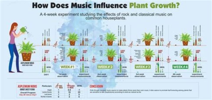 Does playing music make plants grow