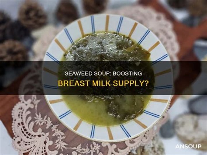 Does seaweed soup increase milk supply