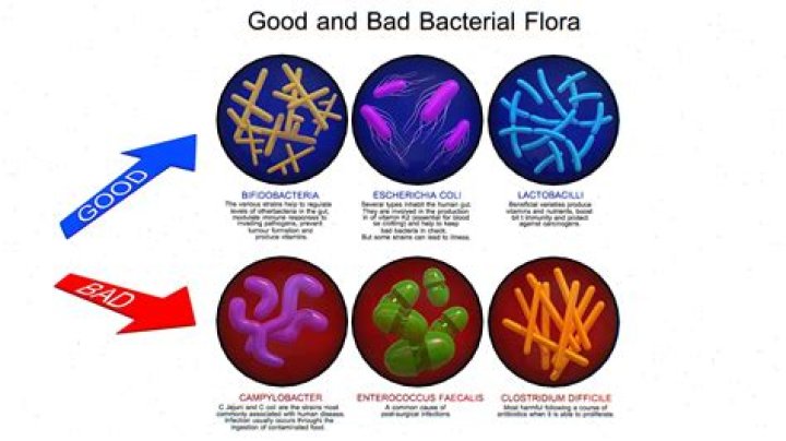 Does spoilage bacteria kill other bacteria