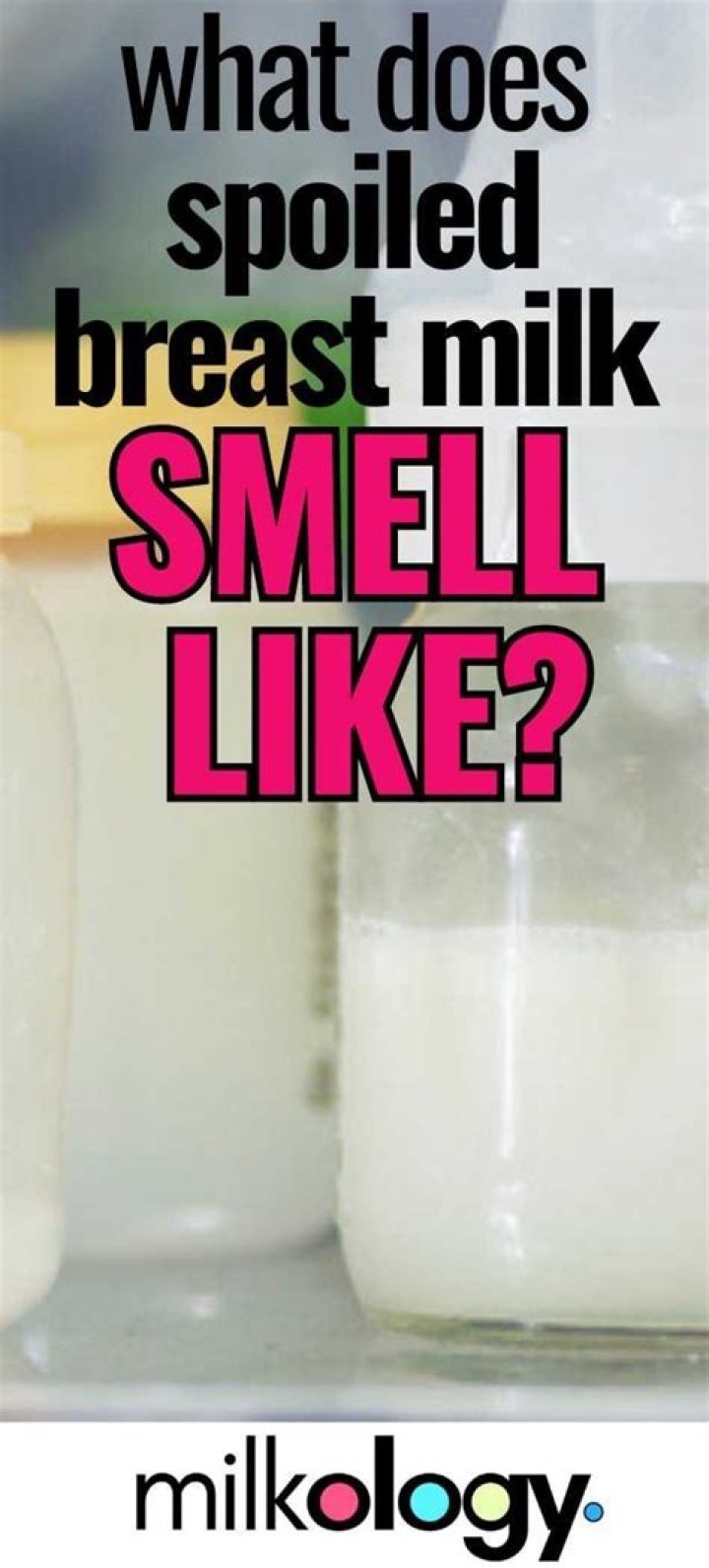 Does spoiled milk smell disappear
