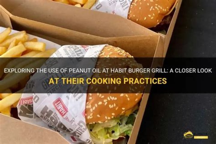 Does the Habit Burger Grill use peanut oil