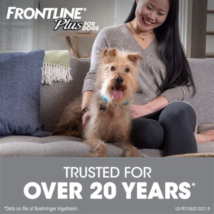 Does Walmart carry Frontline for dogs