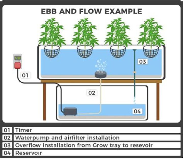 Ebb and flow - How To Discuss
