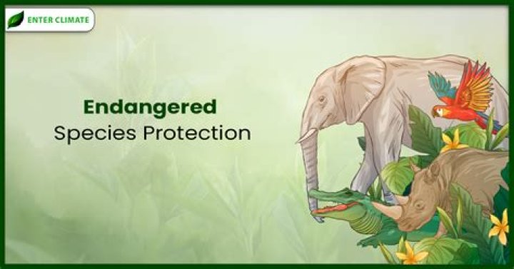 Endangered species - How To Discuss