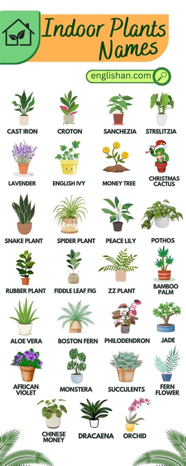 Green plants names - How To Discuss