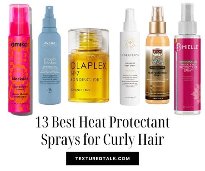 Heat protectant for curly hair
