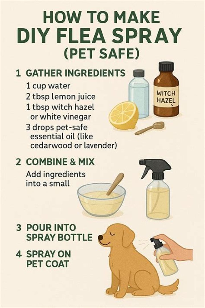 Homemade flea spray - How To Discuss