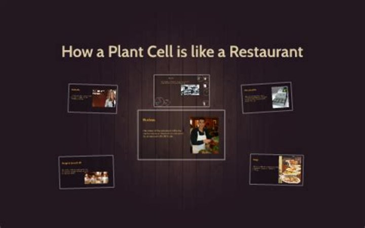 How a plant cell is like a restaurant