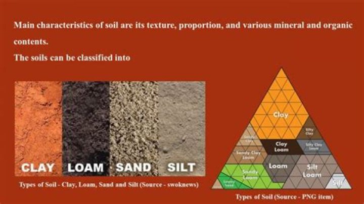 How can I make my sandy soil firmer