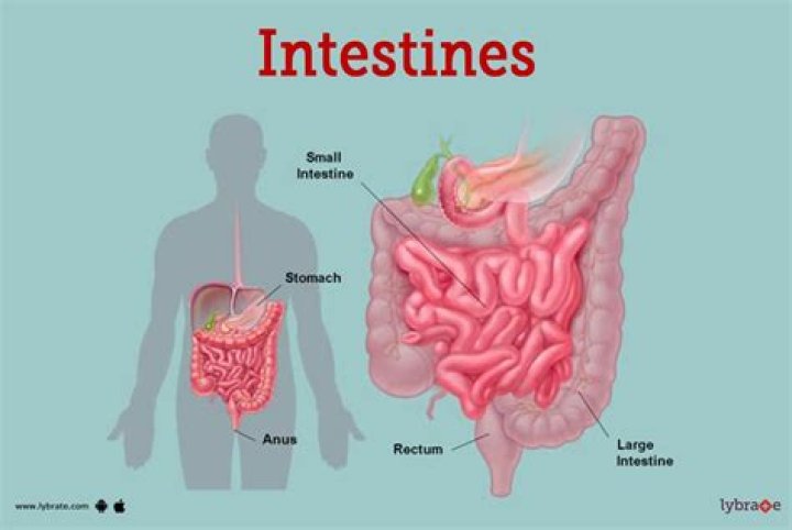 How can I soothe my intestines