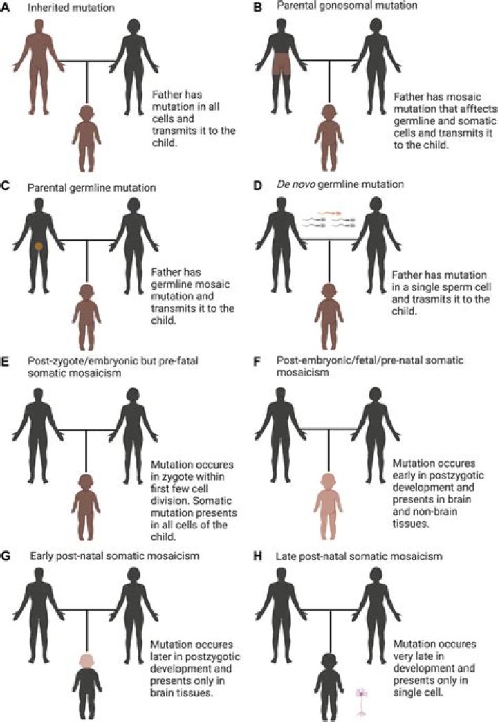 How common is mosaicism