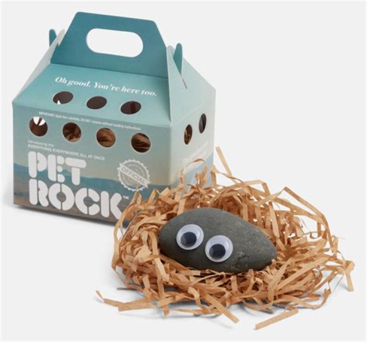 How did pet rock make money