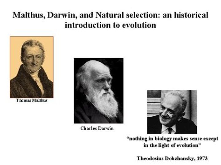 How did Thomas Malthus influence Darwins thinking