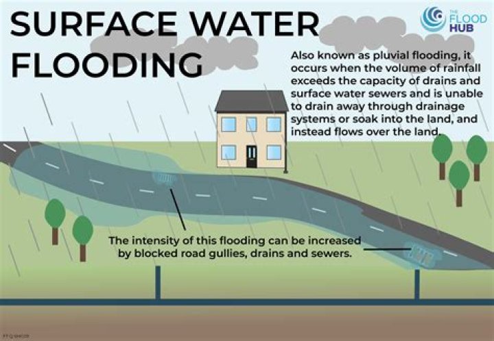 How did Vickis understanding of a flood change