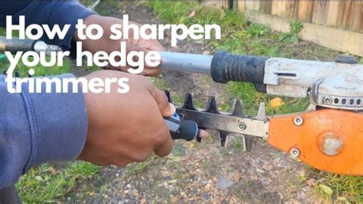 How do I choose a hedge trimmer
