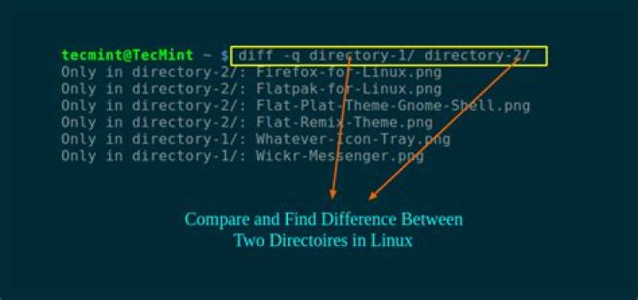How do I diff two directories in Linux