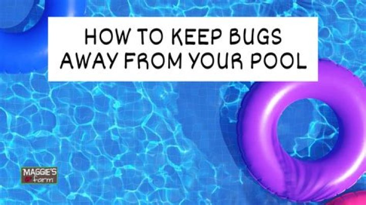 How do I keep flying ants out of my pool
