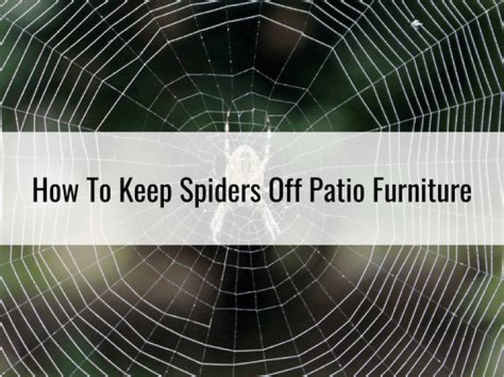 How do I keep spiders off my patio furniture