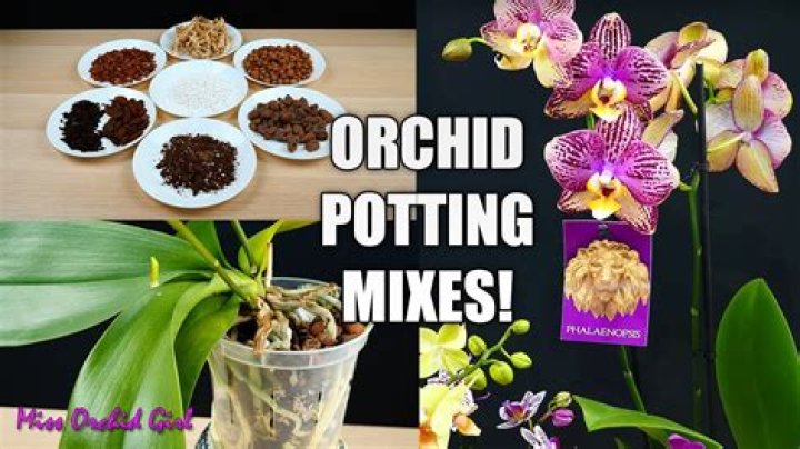 How do I make orchid mix