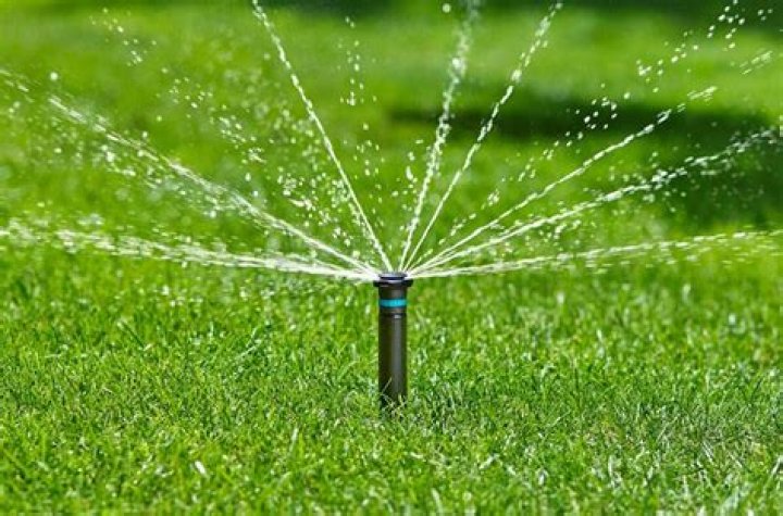 How do I protect my lawn sprinkler heads