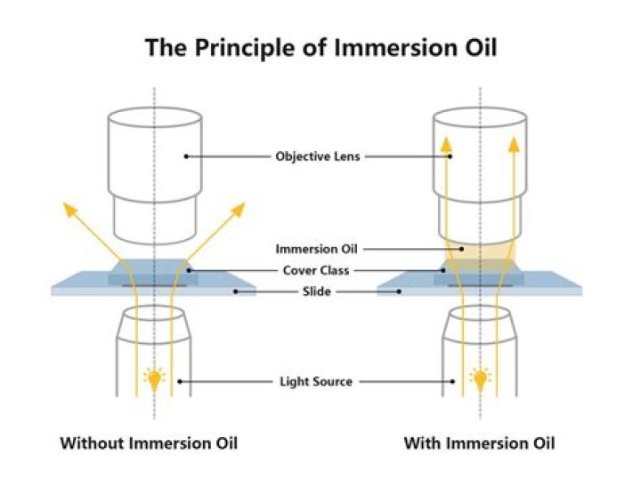 How do you apply immersion oil