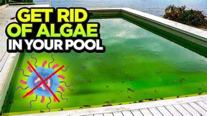 How do you clean a dirty pool float