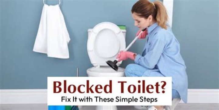 How do you fix a completely blocked toilet?