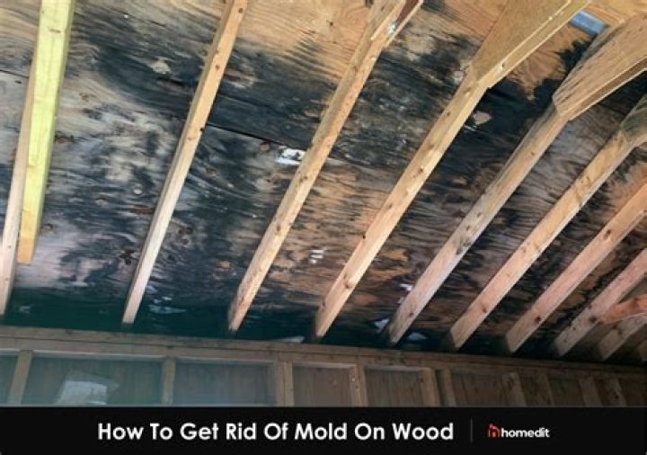 How do you get rid of mold on a floor