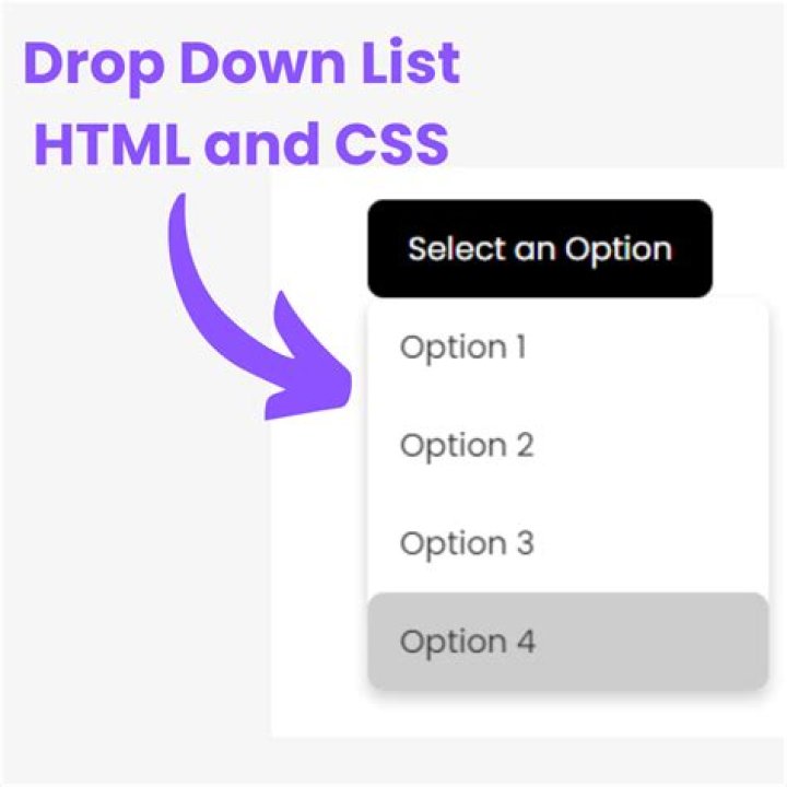 How do you give a drop down list to a name in HTML