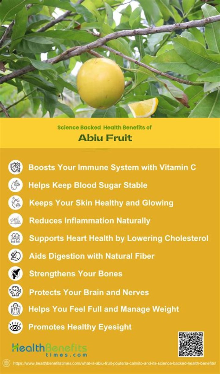 How do you grow abiu fruit
