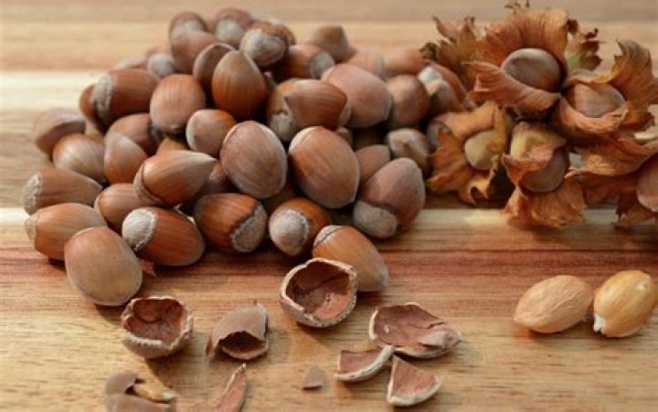How do you know when to pick hazelnuts