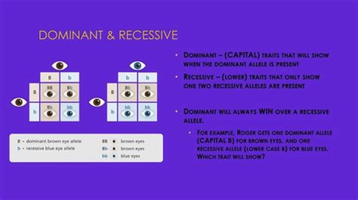 How do you know which is the dominant allele