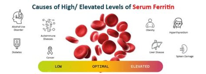 How do you raise low ferritin levels