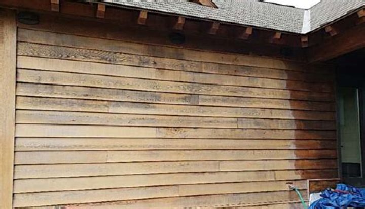 How do you remove mold from cedar siding