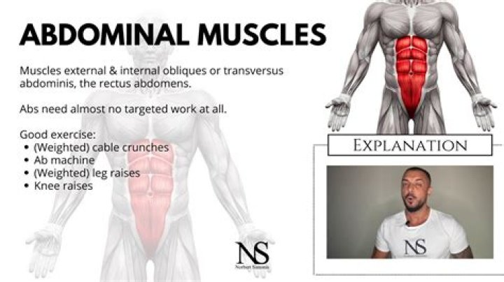 How do you use abdominal in a sentence