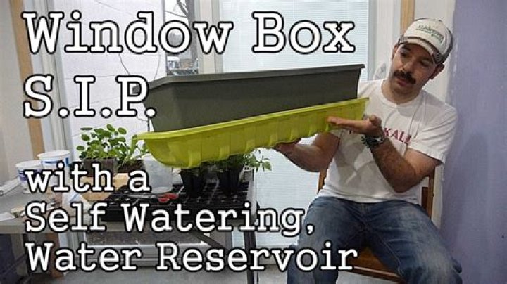 How does a self watering window box work