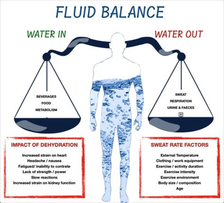 How does alcohol affect regulation of water balance in the body