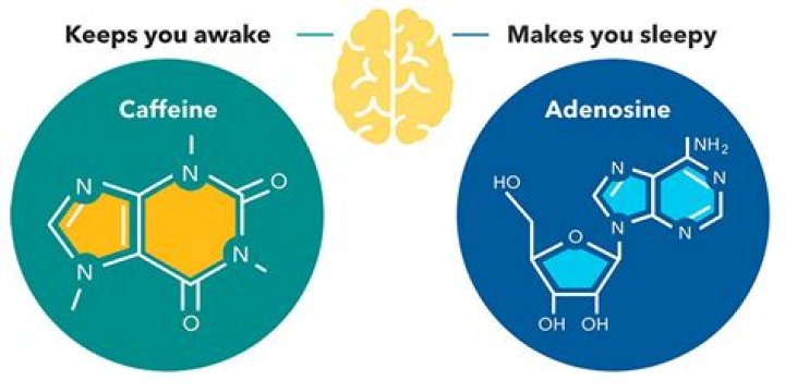 How does caffeine block adenosine