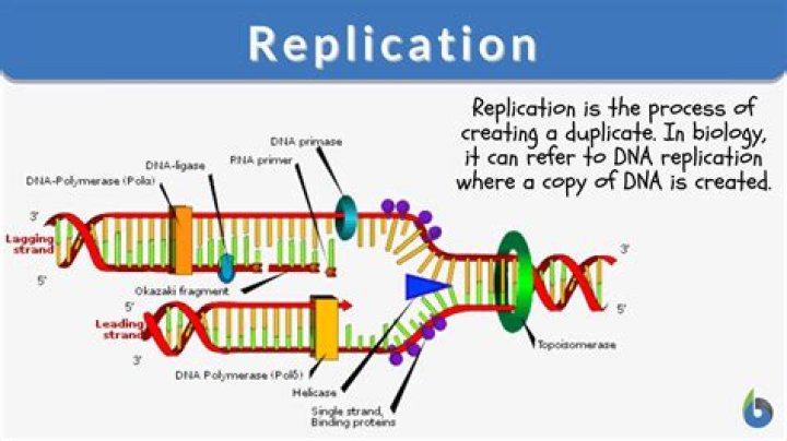 How does session replication work
