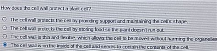 How does the cell wall protect a plant