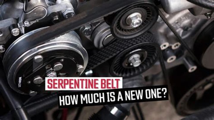 How important is a serpentine belt