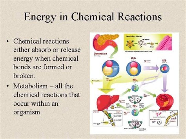 How is energy transferred in a chemical reaction